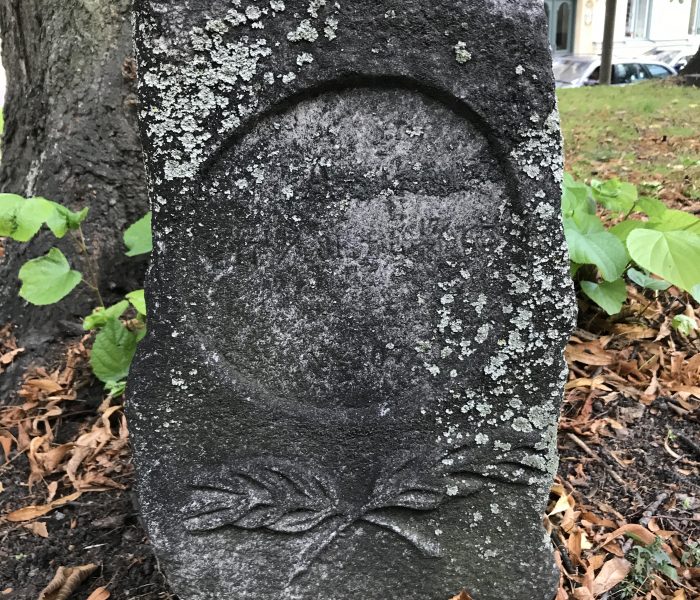 Retrieving an old tomb