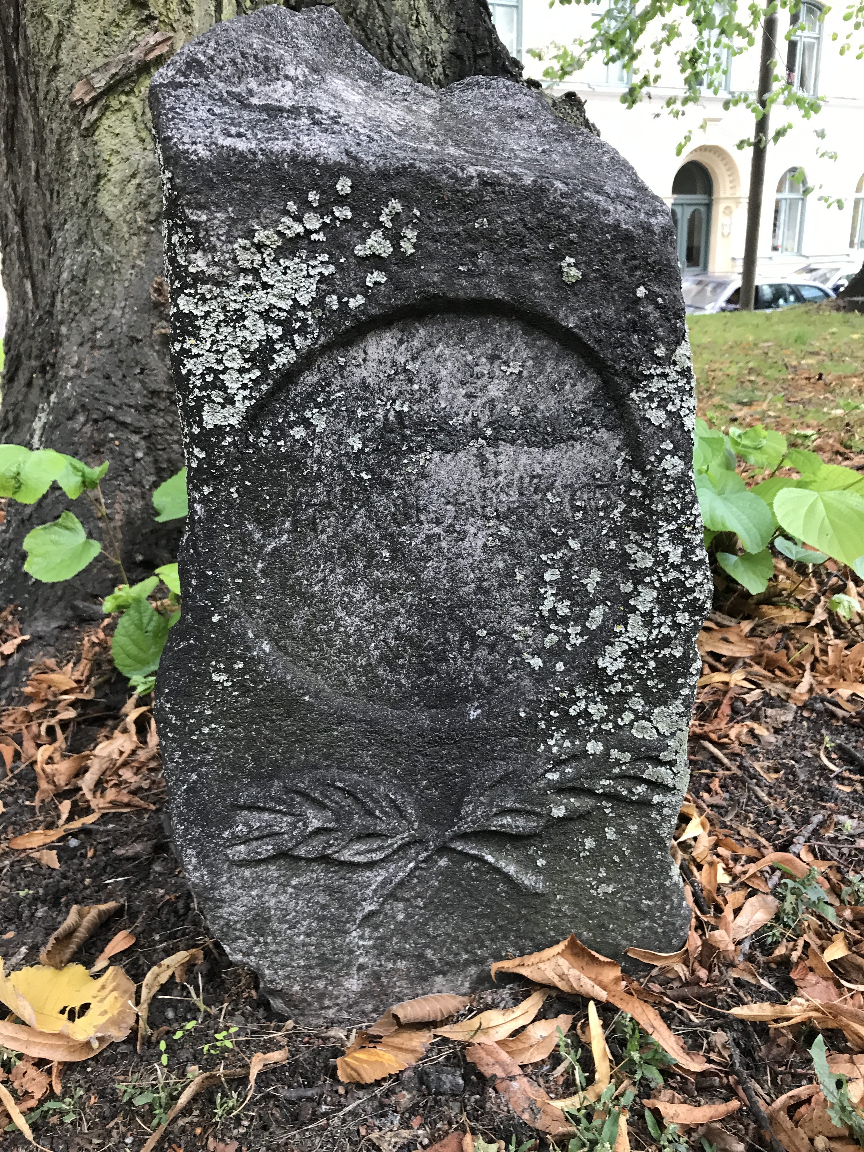 Retrieving an old tomb